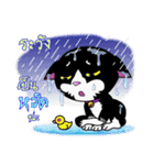 KURO : MORE EMO MEOW（個別スタンプ：11）