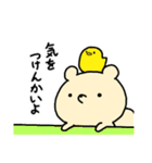 愛媛のたぬきもどき（個別スタンプ：5）