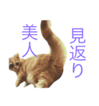 もなかスタンプ（個別スタンプ：22）