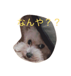 さくもも（個別スタンプ：1）