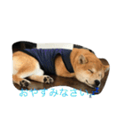 りくだらけ（個別スタンプ：7）