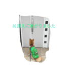 りくだらけ（個別スタンプ：8）
