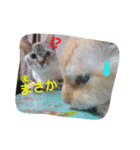 ゆかいなニャンコ〜第2弾〜（個別スタンプ：18）