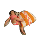 Enana  life（個別スタンプ：2）
