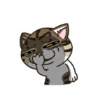 ChaoHu ＆ DaiDai the mix cat's daily life（個別スタンプ：14）