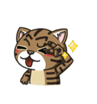 ChaoHu ＆ DaiDai the mix cat's daily life（個別スタンプ：16）