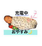さくの日常スタンプ（個別スタンプ：10）
