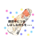 さくの日常スタンプ（個別スタンプ：30）