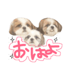 ガツ一族（個別スタンプ：1）