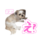 ガツ一族（個別スタンプ：16）