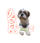 ガツ一族（個別スタンプ：18）