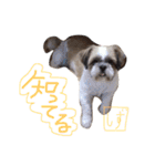 ガツ一族（個別スタンプ：20）