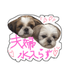 ガツ一族（個別スタンプ：25）