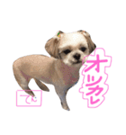 ガツ一族（個別スタンプ：33）