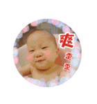 AAASH（個別スタンプ：1）
