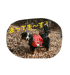 ぼくはごんざえもん！（個別スタンプ：13）