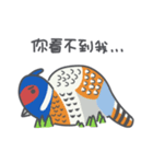 Taiwan Species Encyclopedia（個別スタンプ：6）