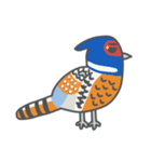 Taiwan Species Encyclopedia（個別スタンプ：8）