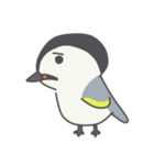 Taiwan Species Encyclopedia（個別スタンプ：9）