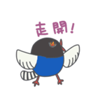 Taiwan Species Encyclopedia（個別スタンプ：11）