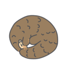 Taiwan Species Encyclopedia（個別スタンプ：13）