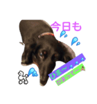 ぴハナちゃん（個別スタンプ：3）