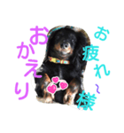 ぴハナちゃん（個別スタンプ：4）