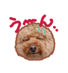Happy Atsushi（個別スタンプ：1）