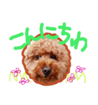 Happy Atsushi（個別スタンプ：4）