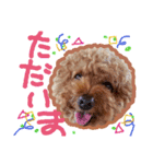 Happy Atsushi（個別スタンプ：12）