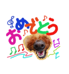 Happy Atsushi（個別スタンプ：16）