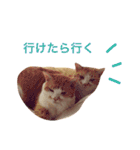 ミルクときなこ②（個別スタンプ：32）