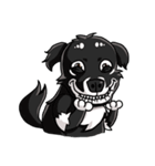 Various Facial Expressions Cute Cute Dog（個別スタンプ：1）