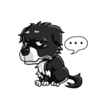 Various Facial Expressions Cute Cute Dog（個別スタンプ：3）
