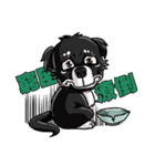 Various Facial Expressions Cute Cute Dog（個別スタンプ：6）