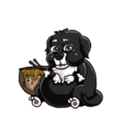 Various Facial Expressions Cute Cute Dog（個別スタンプ：8）