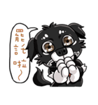 Various Facial Expressions Cute Cute Dog（個別スタンプ：21）