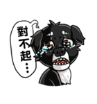 Various Facial Expressions Cute Cute Dog（個別スタンプ：22）