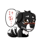 Various Facial Expressions Cute Cute Dog（個別スタンプ：31）