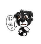 Various Facial Expressions Cute Cute Dog（個別スタンプ：33）