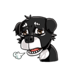 Various Facial Expressions Cute Cute Dog（個別スタンプ：38）