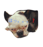 オラでっちゃん（個別スタンプ：18）