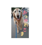 なんでもない日もヒックスと♪②（個別スタンプ：5）
