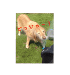 なんでもない日もヒックスと♪②（個別スタンプ：22）