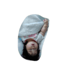 かのぴ丸（個別スタンプ：8）