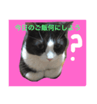 サスケの可愛いスタンプ（個別スタンプ：11）