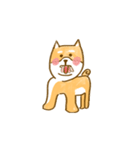 Chubby Shibalnu（個別スタンプ：8）