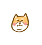 Chubby Shibalnu（個別スタンプ：34）