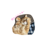 とらんぼるるん♪（個別スタンプ：6）