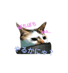 ハルさん。（個別スタンプ：6）